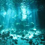 Scuba diving in Cenotes Puerto Morelos