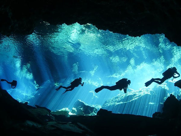 Best Cenote diving in Puerto Morelos
