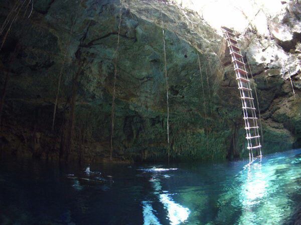 Cenote diving in Puerto Morelos