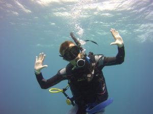 Scuba Diving Puerto Morelos - Om Delfin