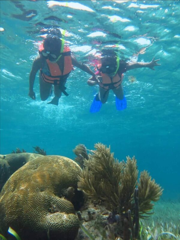 Snorkel Puerto Morelos Mexico Quintana Roo