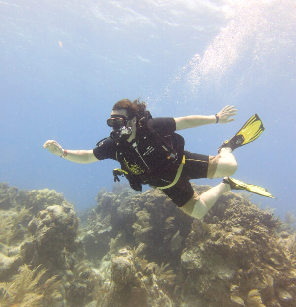Puerto Morelos Diving (Discovery Dive) - Image 3