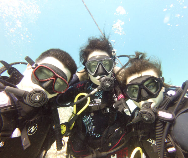 Puerto Morelos Diving (Discovery Dive) - Image 4
