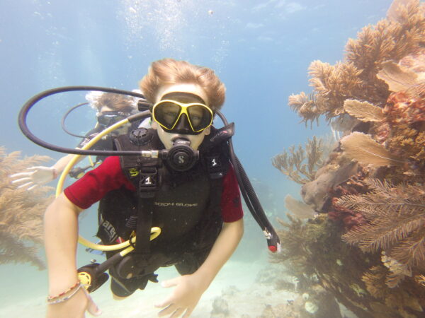discovery dive
