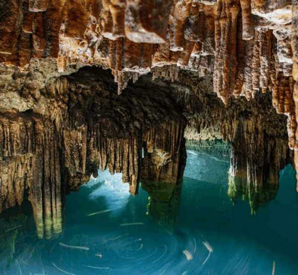 Snorkeling in Cenotes - Image 4