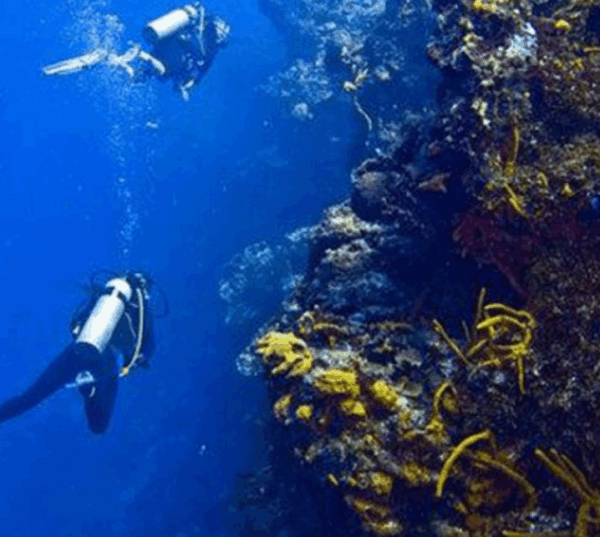 Cozumel - Image 4