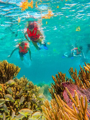 Snorkling Arrecife